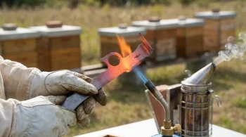 The Typhoid Mary of the Apiary: Why Your Hive Tool is a Double-Edged Sword