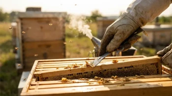 الأداة الخفية للنحلة: نهج الأنظمة لأمن الخلية