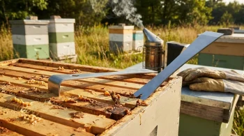 The Unsung Interface: Why a Simple Hive Tool Defines Beekeeping