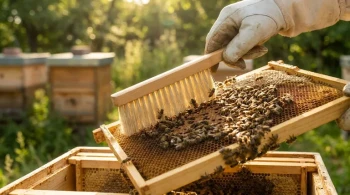 The Gentle Command: Why the Bee Brush is a Masterclass in Hive Psychology
