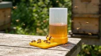 The Benevolent Trap: Why Your Bee Feeder's Design is a Matter of Life and Death