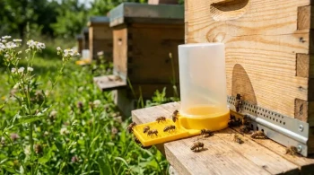 Beyond the Jar: Why Your Bee Feeder Choice Is a Strategic Decision