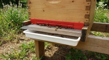 Beyond the Solid Floor: A Systems Approach to Hive Ventilation and Pest Control