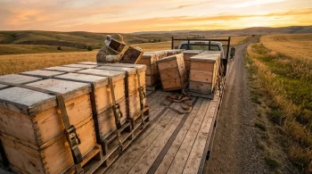 Beyond the Stack: Why Your Hive Transportation Strategy Is Costing You Colonies