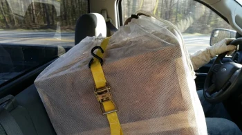 The System and the Swarm: Why a Single Escaped Bee Reveals a Flaw in Hive Transport