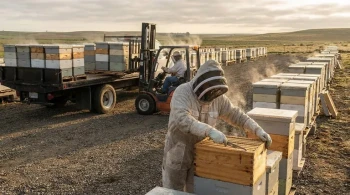 The Physics of Trust: Why Hive Transport is Beekeeping's Most Underrated Challenge