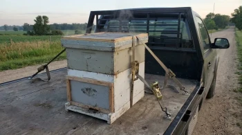 A Living System in Motion: The Engineering Principles of Hive Transportation