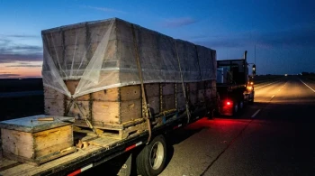 The Precision of Chaos: Navigating the Biological Risks of Commercial Beehive Transportation