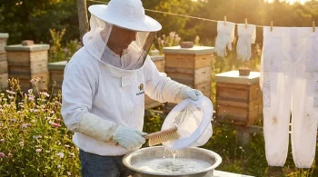 Der Duft der Gefahr: Warum bei der Wartung von Bienenanzügen Pheromone und nicht nur Schmutz eine Rolle spielen