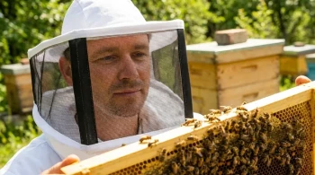 Black Mesh, Clear Sight: The Unseen Engineering in a Beekeeper's Veil