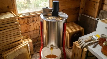 提取者的困境：为什么蜂蜜提取不仅仅是旋转