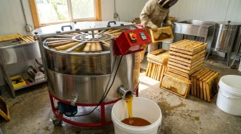 The Physics of a Perfect Harvest: Why the Honey Extractor Is a Marvel of Efficiency