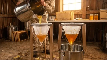 From Hive to Jar: The Elegant Engineering of a Simple Honey Strainer