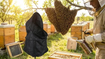 ハイブの壮大な設計：群れの論理を解体する