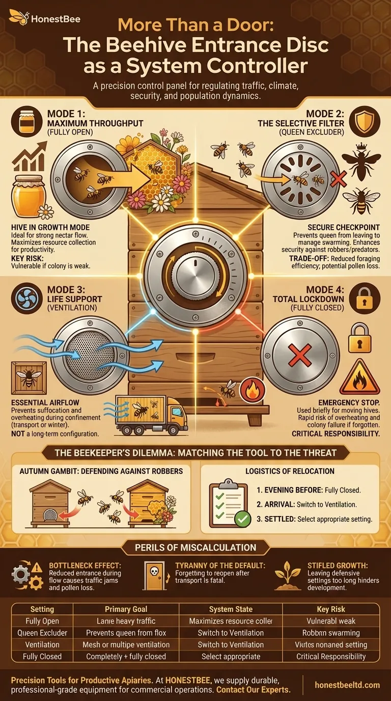 More Than a Door: The Beehive Entrance Disc as a System Controller Visual Guide