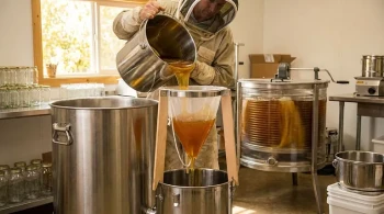 Beyond the Strainer: Why Your Honey Filtering Is The Hidden Bottleneck in Your Apiary