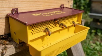 O Problema da Interface: Como o Design da Armadilha de Pólen Molda o Comportamento da Colônia e a Qualidade da Colheita