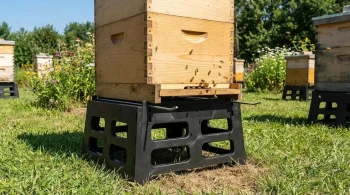 How Hive Stands Protect Your Bees: Stopping Pests, Moisture, and Beekeeper Burnout