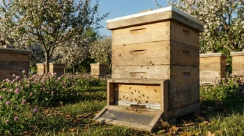 How Langstroth Hive Design Optimizes Bee Colony Growth and Honey Production