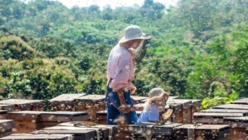 Essential Beekeeping Tools: How Strategic Preparation Boosts Hive Health, Safety, and Honey Yields