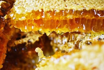 How is honey produced