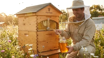 How Flow Frames Revolutionize Beekeeping with Bee-Friendly Honey Harvesting