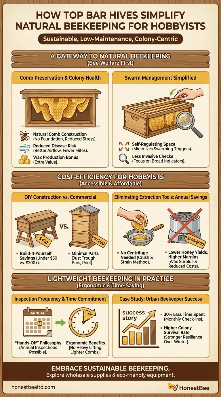 How Top Bar Hives Simplify Natural Beekeeping for Hobbyists Visual Guide