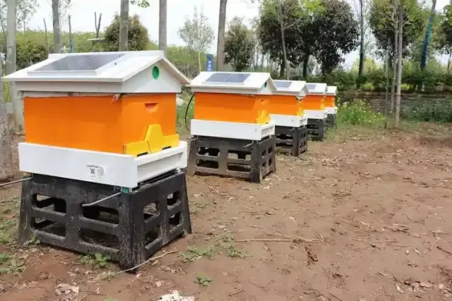 Como escolher o melhor material para o suporte da colmeia: Um guia do apicultor para o custo, durabilidade e proteção