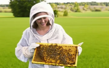 Come Scegliere tra Tute Integrali e Tute Parziali per Api: Una Guida alla Sicurezza e all'Efficienza