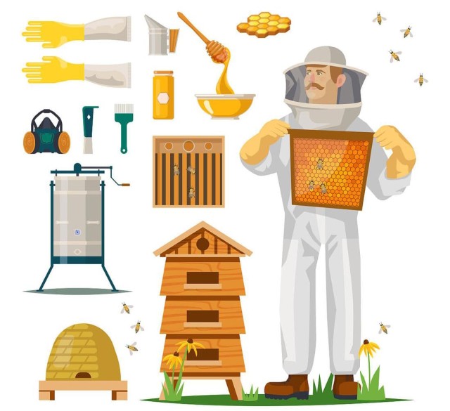 Tools you need to know before beekeeping