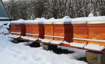 What kind of equipment should beekeepers prepare for winter?