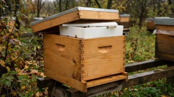 Strategische Futterplatzierung: Konstruktion wetterfester Bienenstocksysteme durch Komponentensynergie