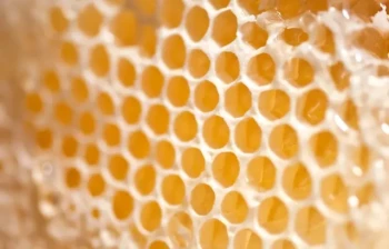 Come creare fogli di cera d'api impeccabili: Padroneggiare la temperatura e la scienza dello stampo