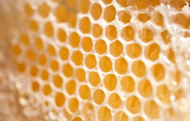如何制作完美无瑕的蜜蜡薄片：掌握温度和模具科学