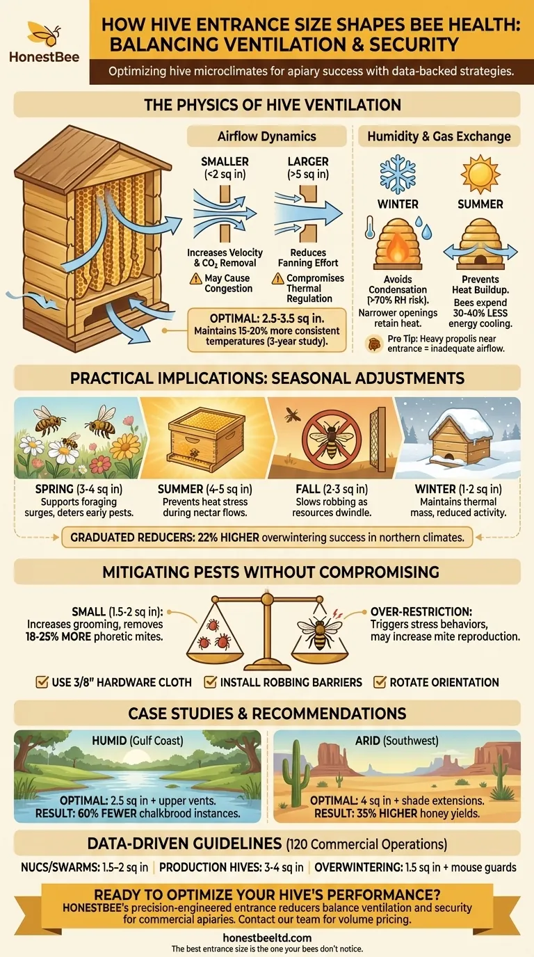 How Hive Entrance Size Shapes Bee Health: Balancing Ventilation and Security Visual Guide