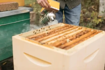 How to Optimize Your Bee Smoker: Fuel, Safety, and Maintenance Guide