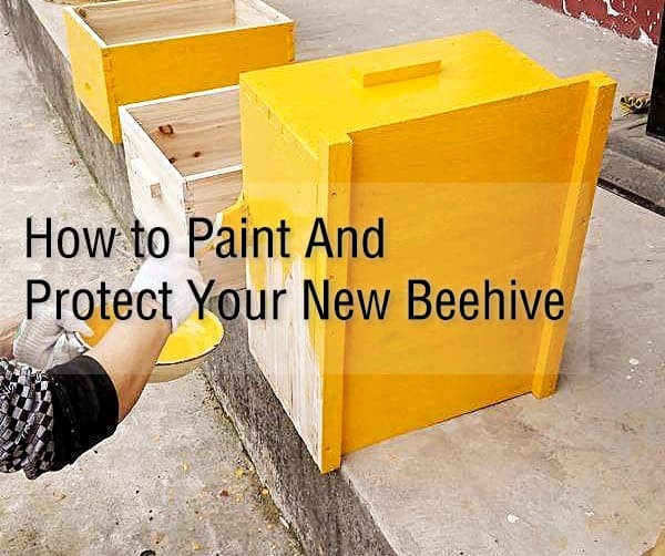 How to Paint and protect your new beehive