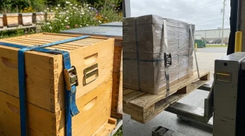 How to Choose the Right Emlock for Your Needs: Durability, Cost & Environmental Fit