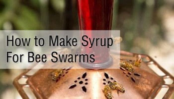 How to Make Syrup for Bee Swarms