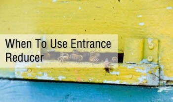 When To Use Entrance Reducer