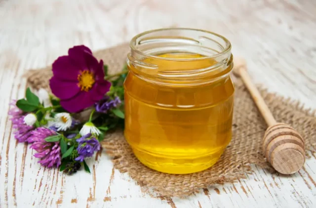 How to Choose the Perfect Honey Extractor for Your Beekeeping Needs
