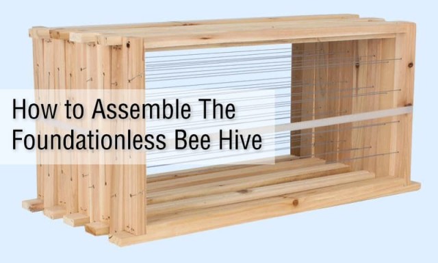 How to Assemble the Foundationless Bee Hive