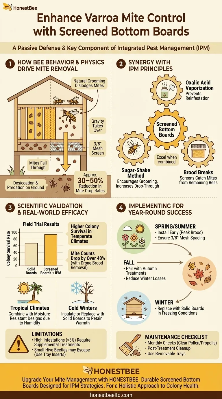 屏幕底部板如何增强现代养蜂业的瓦螨防治 图解指南