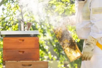 How to Choose the Right Bee Smoker Size for Your Beekeeping Operation