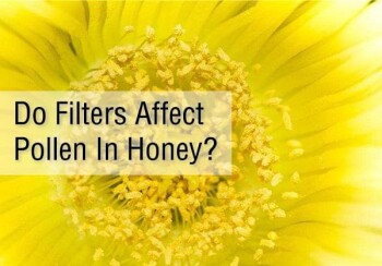 Do filters affect pollen in honey?