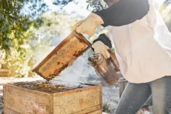 How to Use Bee Smokers Effectively: Calming Colonies Without Triggering Aggression