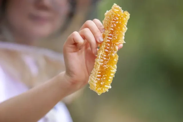 How to Accurately Test Honey Readiness: Science-Backed Methods for Beekeepers