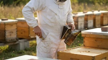 Wie Taschen-Design in Bienenanzügen Sicherheit und Inspektionseffizienz verbessert