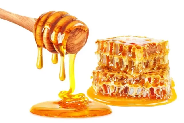 Mastering Honey Refractometer Basics: A Guide to Precision and Profitability
