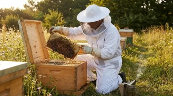 How to Choose a Beekeeping Suit: Material, Safety, and Fit for Your Environment